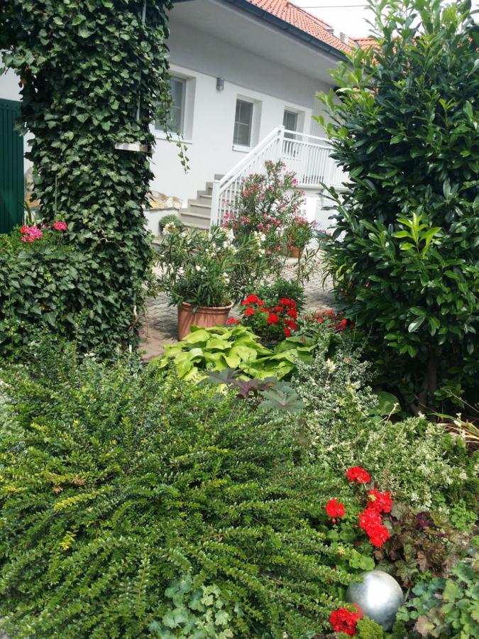 Weingut Apartment Hildegard Gangl Illmitz Exteriör bild