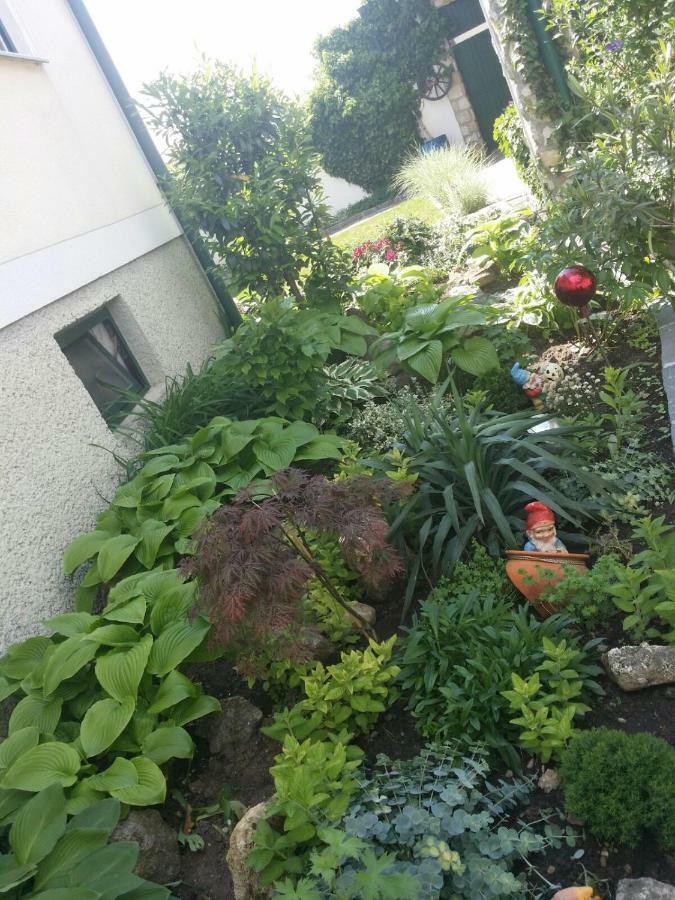 Weingut Apartment Hildegard Gangl Illmitz Exteriör bild