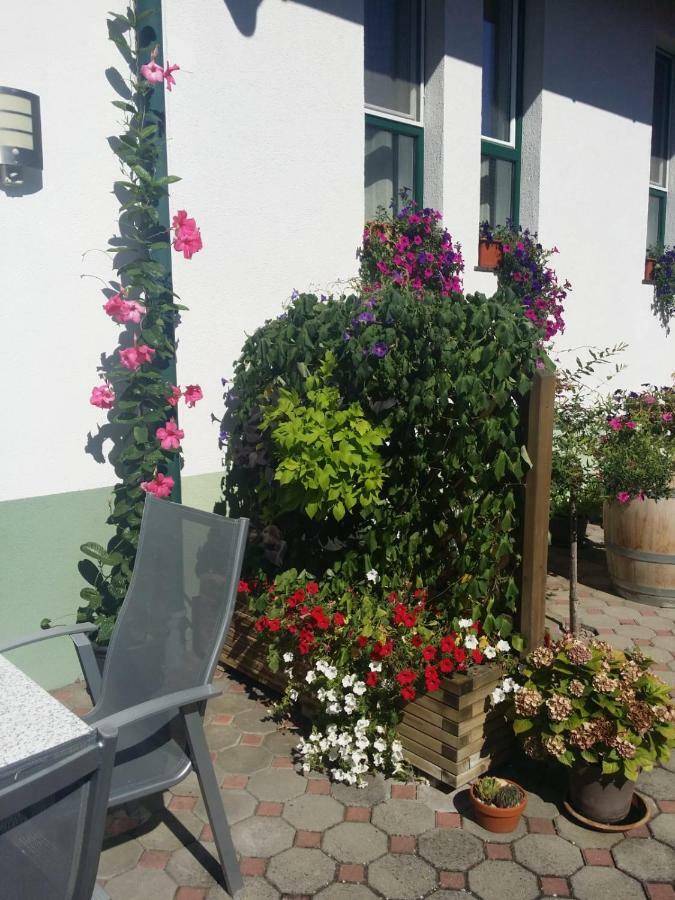 Weingut Apartment Hildegard Gangl Illmitz Exteriör bild